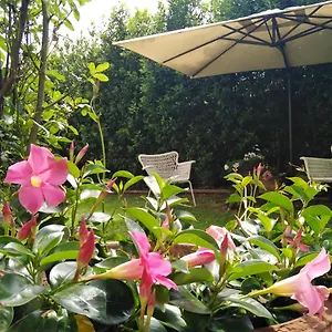  Frühstückspension Bio Vivere La